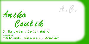 aniko csulik business card